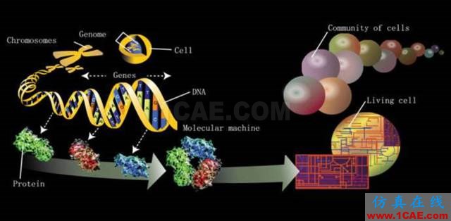 【資訊】強(qiáng)勢圍觀！Science公布的125個(gè)科學(xué)前沿問題!圖片61