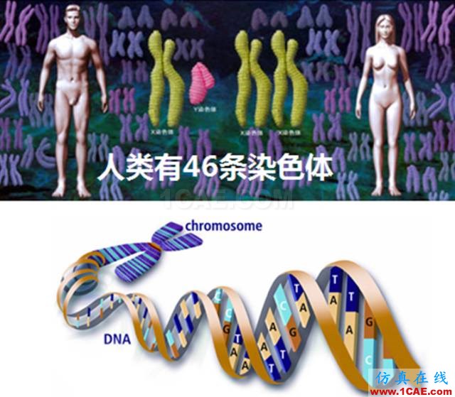 【資訊】強(qiáng)勢圍觀！Science公布的125個(gè)科學(xué)前沿問題!圖片3